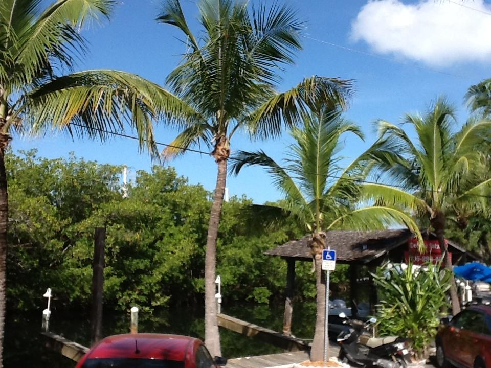 Banana Bay Resort (Adults Only) Key West Exteriör bild
